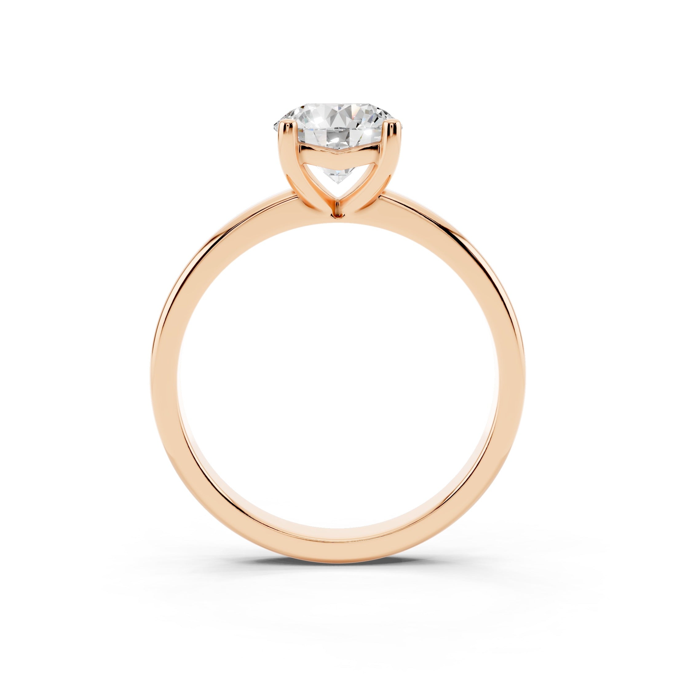 Immagine diapositiva